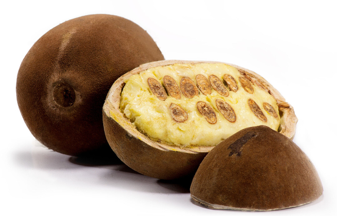 THEOBROMA GRANDIFLORUM SEED BUTTER Wirkstoffe Lombagine