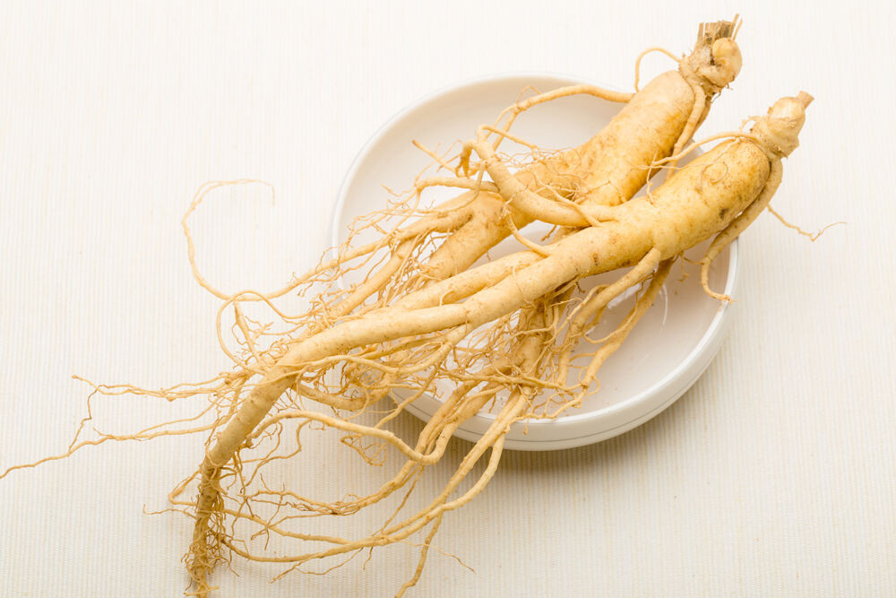 Ginseng-Extrakt, ein Wirkstoff der LOMBAGINE Pflege