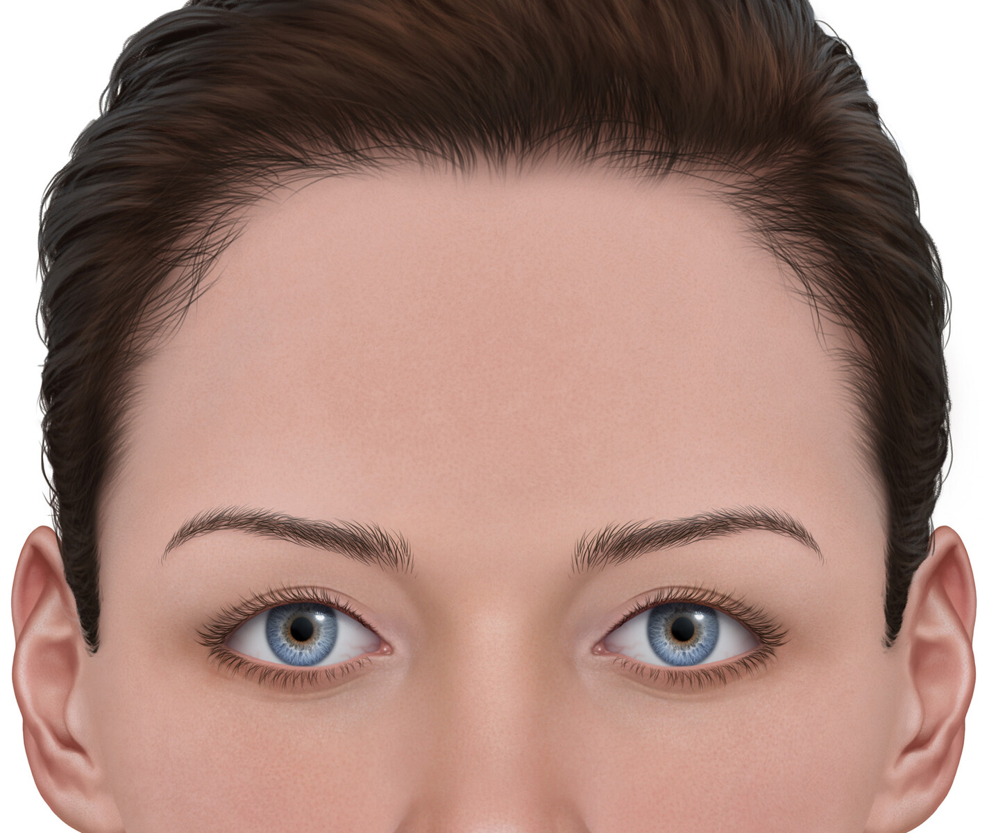 Merkmale & Regeln - Stirn - Make-up Tipps - Make-up - Lombagine