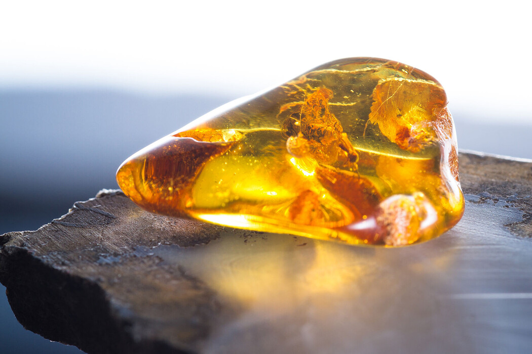 Bernstein (Amber Powder), ein Wirkstoff der LOMBAGINE Pflege
