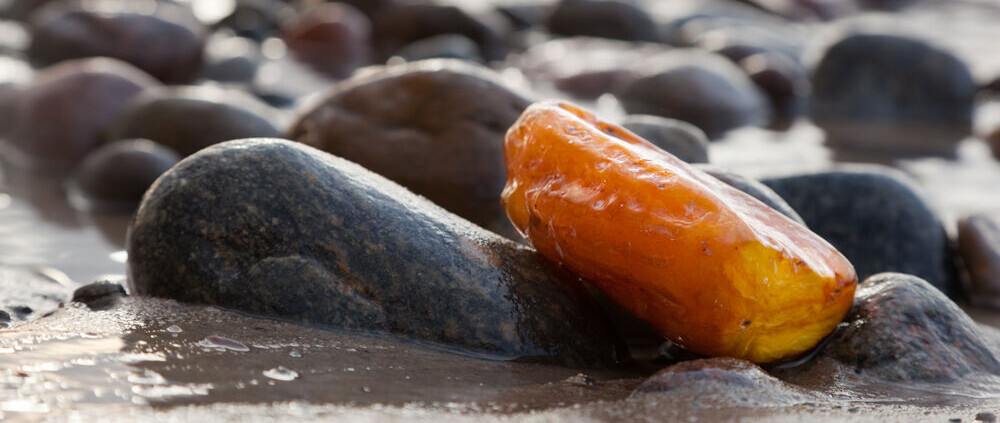 Bernstein (Amber Powder), ein Wirkstoff der LOMBAGINE Pflege