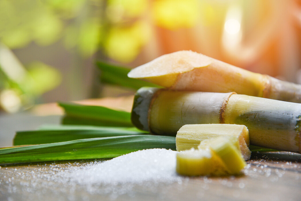 Sucrose Palmitate, ein Wirkstoff der LOMBAGINE Pflege