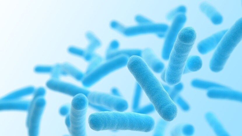 Ectoin, ein Wirkstoff der LOMBAGINE Pflege